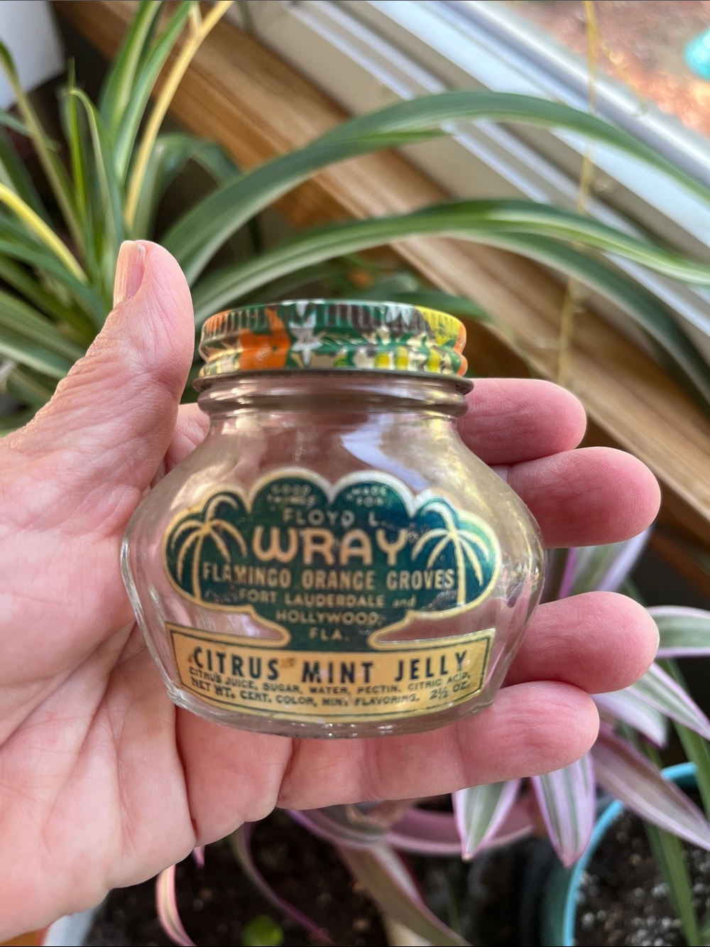 Vtg Floyd Wray FLAMINGO ORANGE GROVES Hollywood FL Jelly Jar MCM Fruit Lid Empty